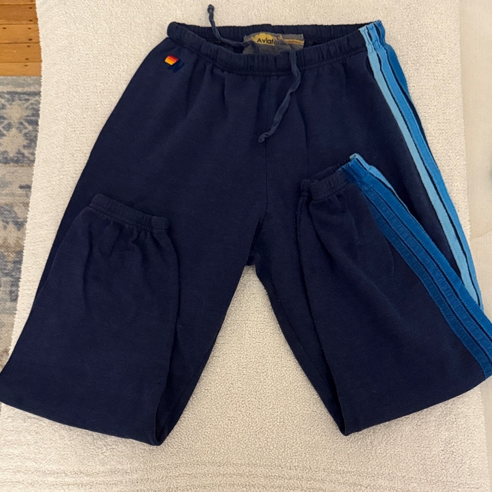 Aviator Nation Navy Joggers with Blue Stripes - Picture 2 of 3